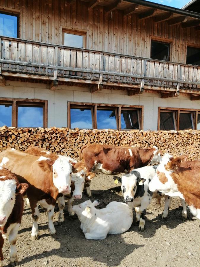 Ferienwohnungen Niederarnigerhof Familie Bauernfeind Kals-am Großglockner Екстериор снимка