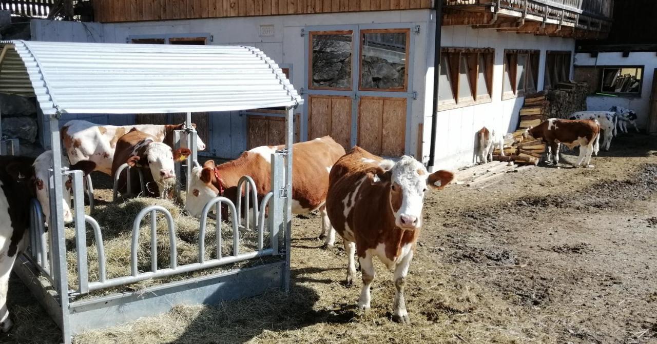 Ferienwohnungen Niederarnigerhof Familie Bauernfeind Kals-am Großglockner Екстериор снимка