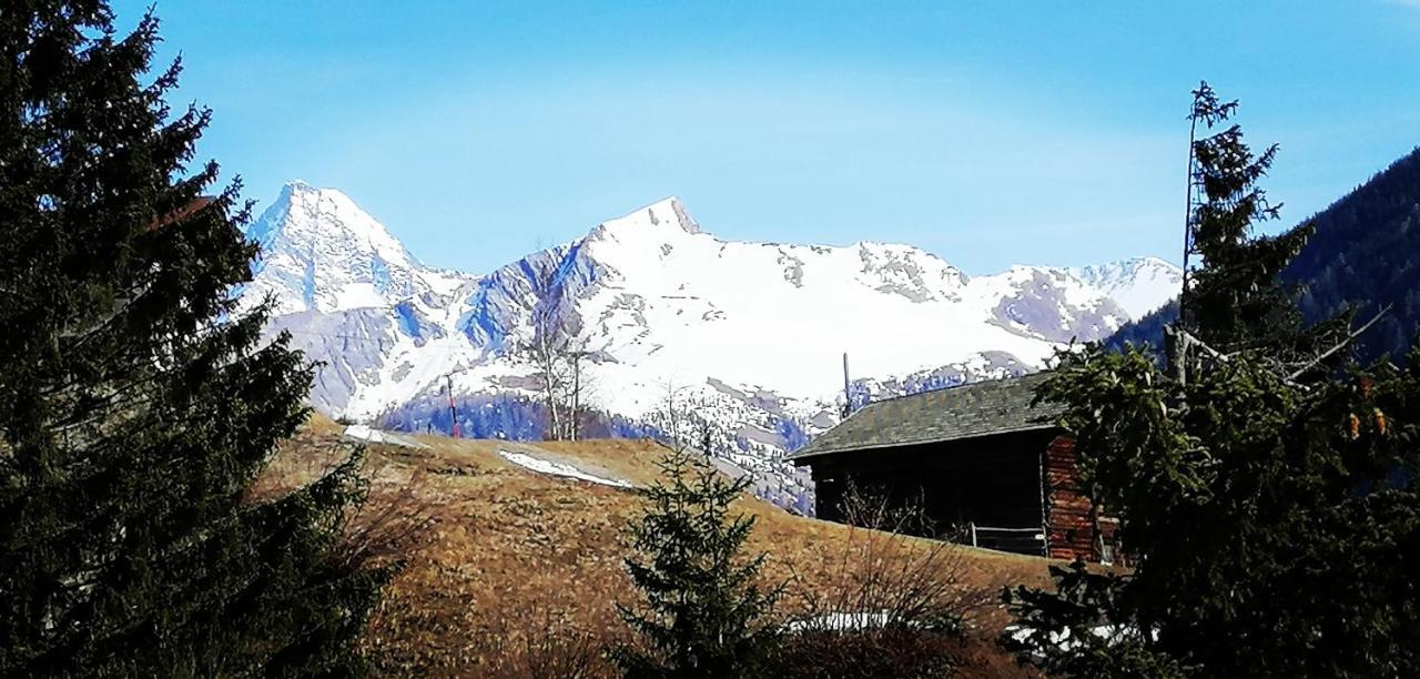 Ferienwohnungen Niederarnigerhof Familie Bauernfeind Kals-am Großglockner Екстериор снимка